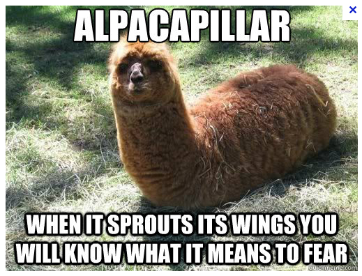 Alpacapillar