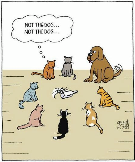 Not the dog