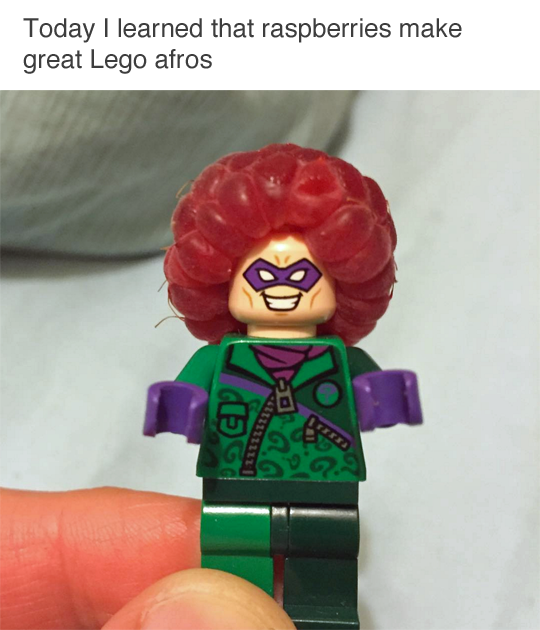 today-learned-that-raspberries-make-great-lego-afros.png