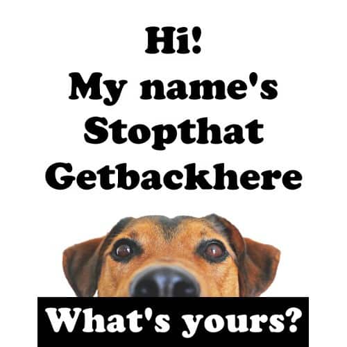 My Name's Stopthat Getbackhere