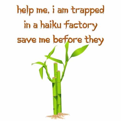 Trapped in a Haiku Factory