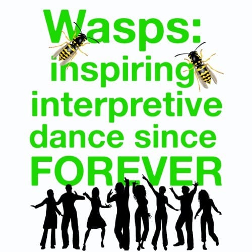 Wasps Inspire Interpretive Dance