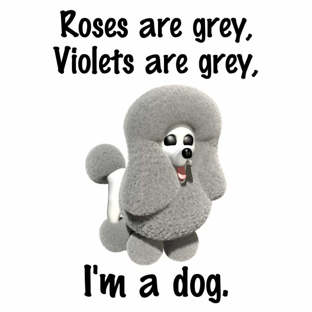 Roses are Grey