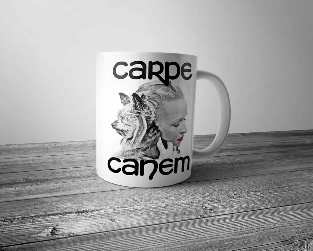 Carpe Canem Mug