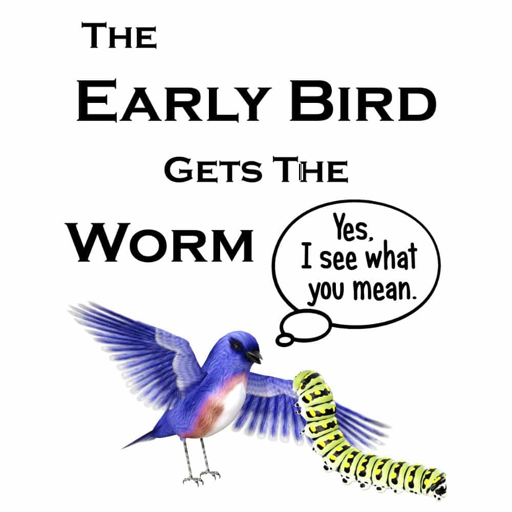what does the early bird gets the worm mean