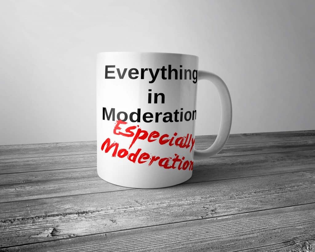 Everything in Moderation Mug