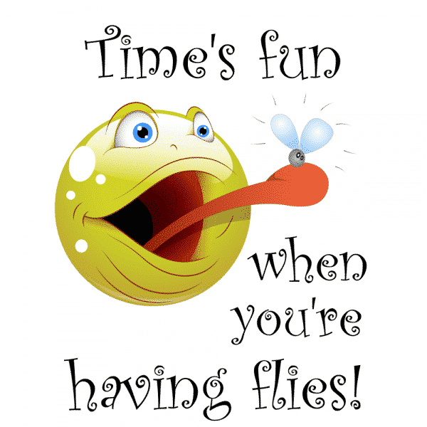 Time's Fun When You're Having Flies