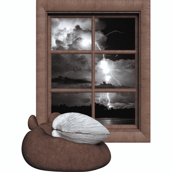 The Clam Before the Storm